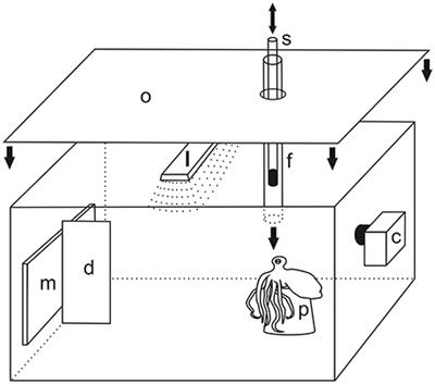 Reconsideration of Serial Visual Reversal Learning in Octopus (Octopus vulgaris) from a Methodological Perspective